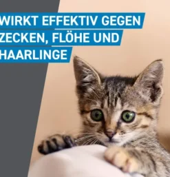 Frontline Spot on Katze 3 Pipetten