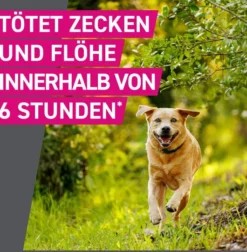 Frontline TRI-ACT Hund 5-10 kg 3 Pipetten