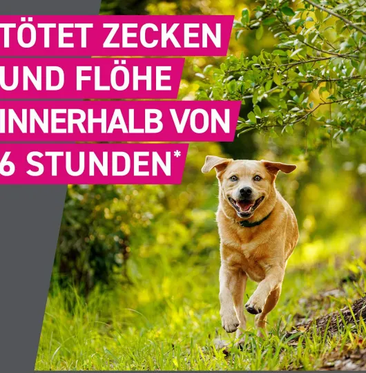 Frontline TRI-ACT Hund 40-60 kg 6 Pipetten