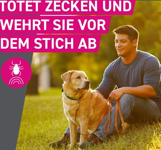 Frontline TRI-ACT Hund 10-20 kg 3 Pipetten
