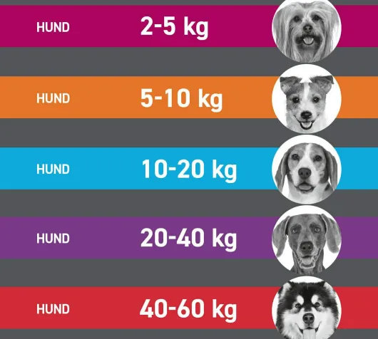 Frontline TRI-ACT Hund 10-20 kg 3 Pipetten