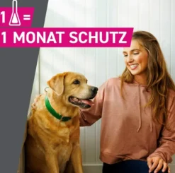 Frontline TRI-ACT Hund 10-20 kg 3 Pipetten