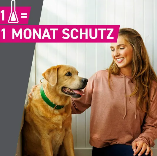 Frontline TRI-ACT Hund 10-20 kg 3 Pipetten