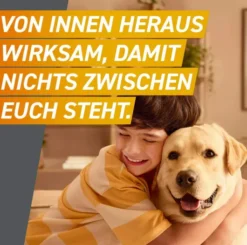 Frontpro 11,3 mg für Hunde 2 - 4 kg 3 Kautabletten