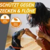 Frontpro 28,3 mg für Hunde 4-10 kg 3 Kautabletten