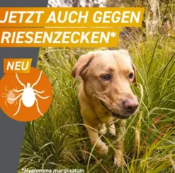 Frontpro 28,3 mg für Hunde 4-10 kg 3 Kautabletten