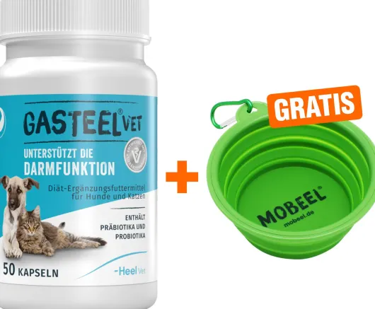 Gasteel Vet Kapseln für Hund und Katze 50 Stück + gratis Mobeel Faltnapf 1 Stück