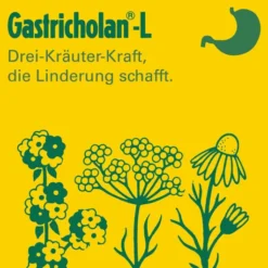 Gastricholan L Flüssig 2 X 50 ml Flüssigkeit