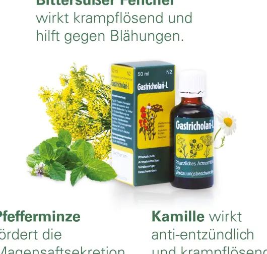 Gastricholan L 50 ml Flüssigkeit