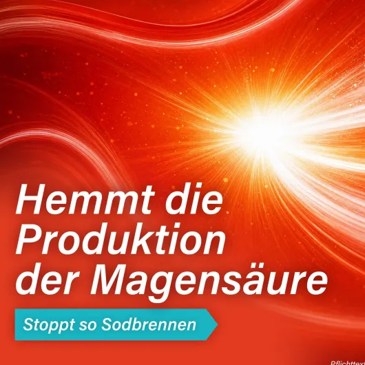 Gastrobin protect 20 mg Hartkapseln 14 Stück