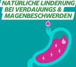 Gavinatura natürlich bei Verdauungsbeschwerden 14 Lutschtabletten