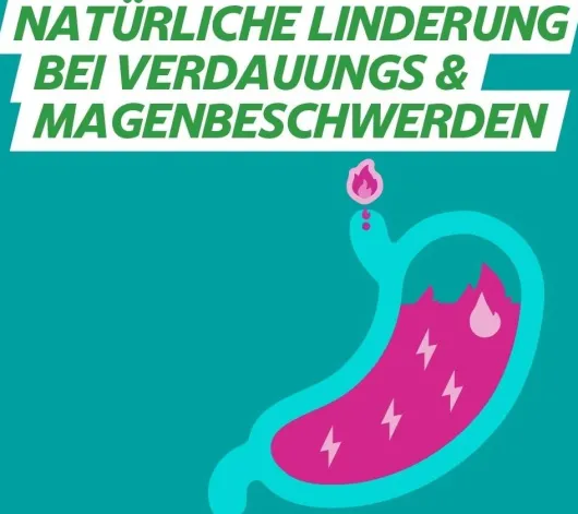 Gavinatura natürlich bei Verdauungsbeschwerden 14 Lutschtabletten