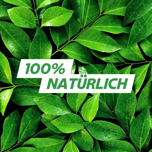 Gavinatura natürlich bei Verdauungsbeschwerden 14 Lutschtabletten