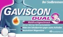 Gaviscon Dual Waldfrucht 250 mg-106,5 mg-187,5 mg 48 Kautabletten