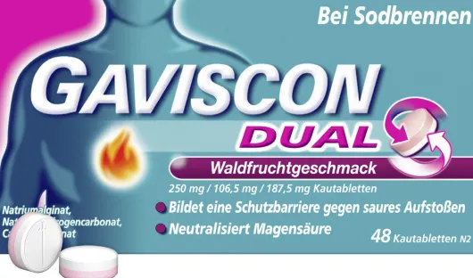 Gaviscon Dual Waldfrucht 250 mg-106,5 mg-187,5 mg 48 Kautabletten