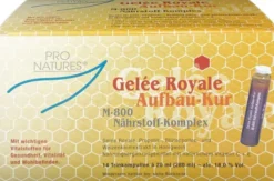 Gelee Royal Aufbaukur M800 14 X 20 G Trinkampullen