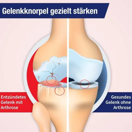 Gelencium Arthro Mischung 200 ml