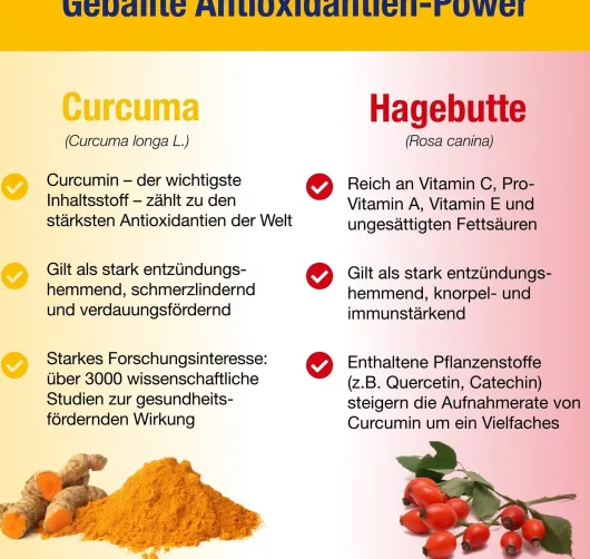 Gelencium Curcuma Plus 60 Kapseln