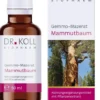 Gemmo Mazerat Mammutbaum Dr.Koll Sequoia Gigantea 50 ml Tropfen