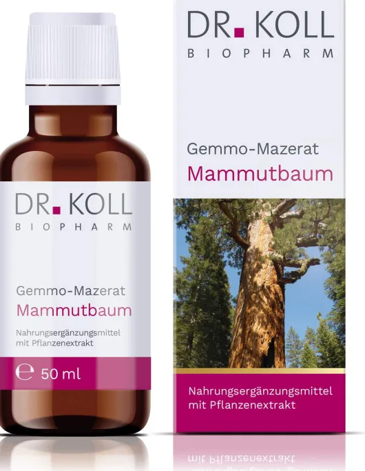 Gemmo Mazerat Mammutbaum Dr.Koll Sequoia Gigantea 50 ml Tropfen