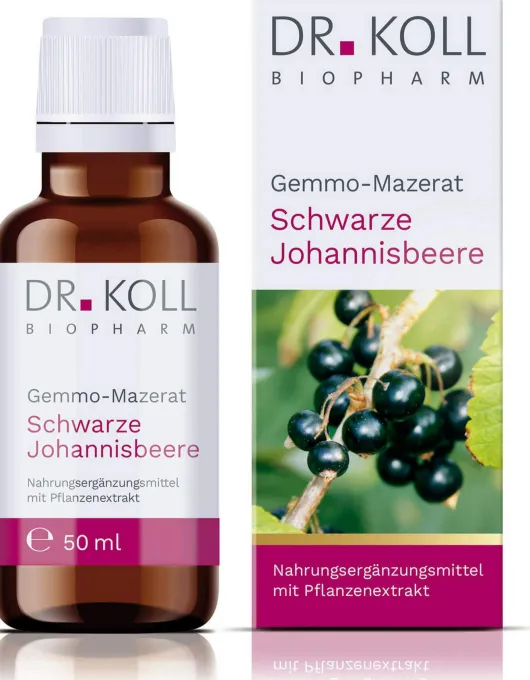 Gemmo Mazerat Schwarze Johannisbeere Dr.Koll Ribes 50 ml