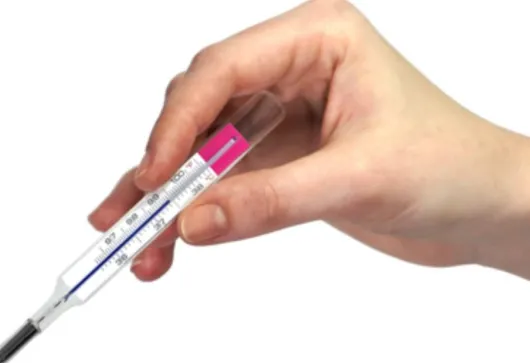 Geratherm basal Zyklusthermometer 1 Stück