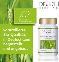Gerstengras Hordeum Vulgare 120 Kapseln