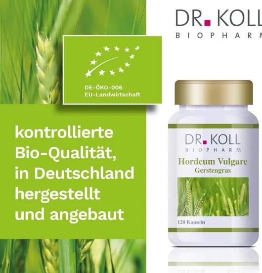 Gerstengras Hordeum Vulgare 120 Kapseln