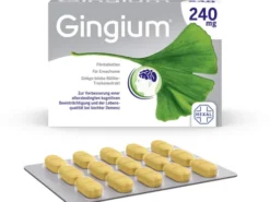 Gingium 240 mg 120 Filmtabletten