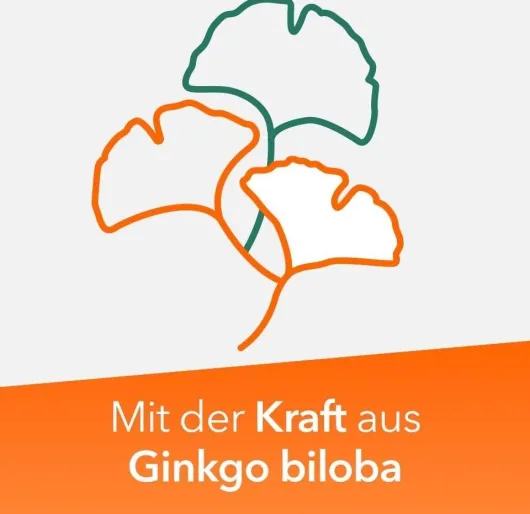 Ginkobil ratiopharm 240 mg 120 Filmtabletten