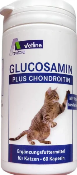 Glucosamin Chondroitin Kapseln Für Katzen 60 Stück