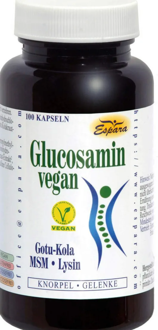 Glucosamin Vegan 100 Kapseln