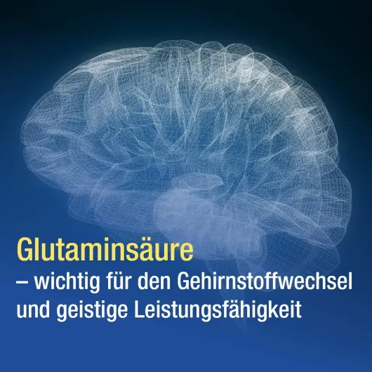 Glutamin Verla Dragees 50 Überzogene Tabletten