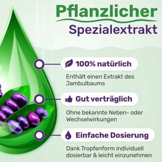 Glycowohl pflanzliche Tropfen bei Diabetes 2 x 100 ml