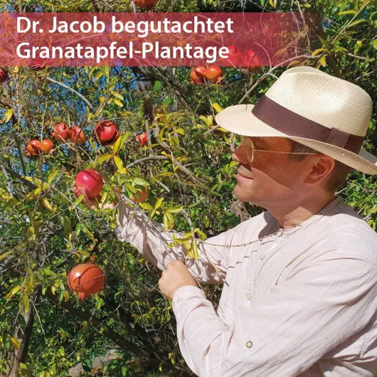 Granaforte Dr.Jacob s 100 ml Flüssig