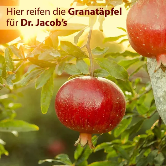 Granaforte Dr.Jacob s 100 ml Flüssig