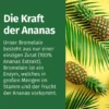 Green Naturals Bromelain 500 mg Vegan 150 Kapseln