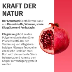 Green Naturals Granatapfel+40% Ellagsäure 180 Kapseln