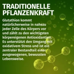 Green Naturals L-Glutathion 1400 mg vegan 90 Kapseln