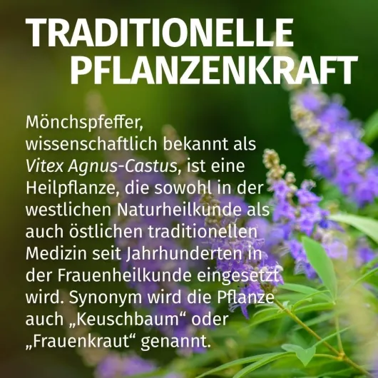 Green Naturals Mönchspfeffer 20mg Hochdosiert 180 Kapseln
