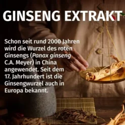 Green Naturals Panax Ginseng hochdosierte vegane 180 Kapseln