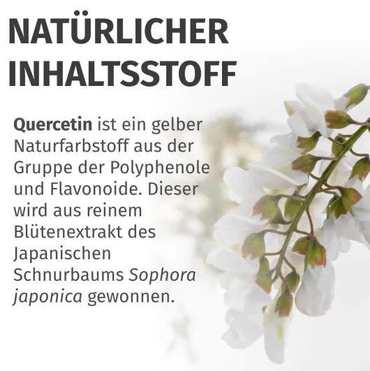 Green Naturals Quercetin 500 mg 180 Kapseln