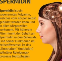 Green Naturals Spermidin Forte 6 mg vegan 100 Kapseln