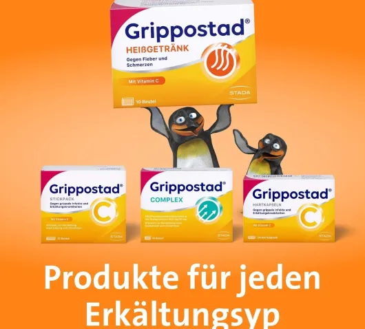 Grippostad Heissgetränk 10 Beutel