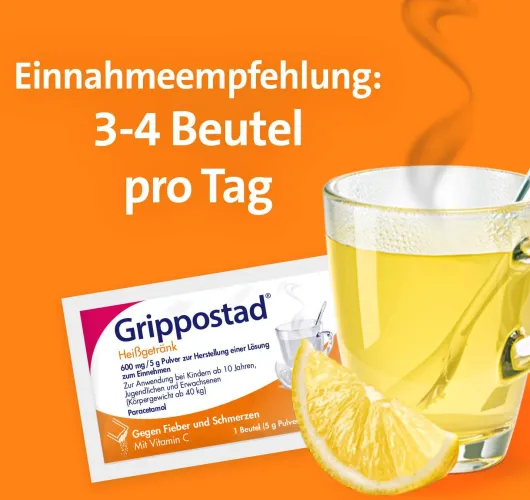 Grippostad Heissgetränk 10 Beutel