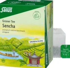Grüner Tee Bio Salus 40 Filterbeutel Großpackung
