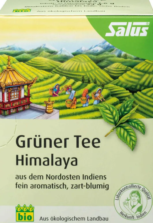 Grüner Tee Himalaya Bio Salus Filterbeutel