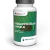 Grünlippmuschel Medibond 120 Kapseln