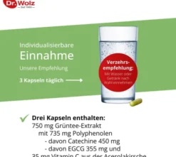 Grüntee Extrakt Dr.Wolz 120 Kapseln
