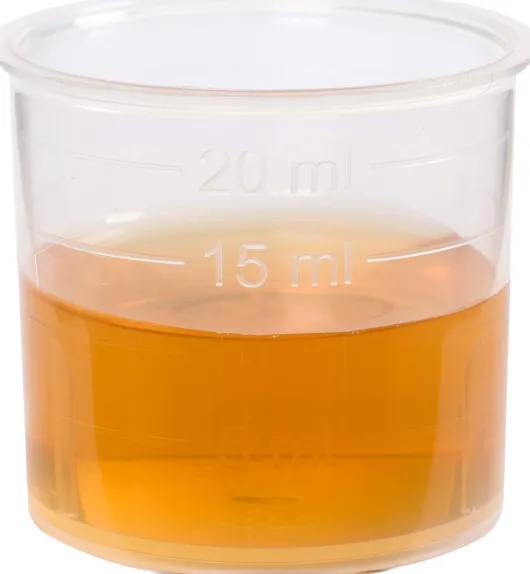 Hafersaft Schoenenberger 200 ml Saft